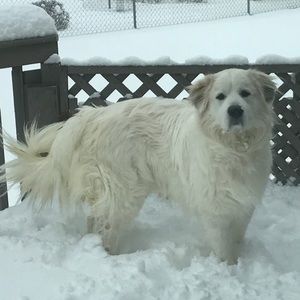 Meet your Posher, Miguel